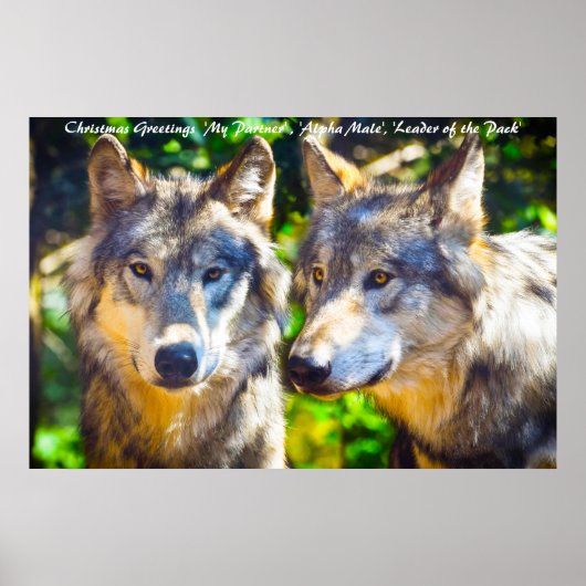 kerstcadeauleider van het pakket poster (Voorkant)