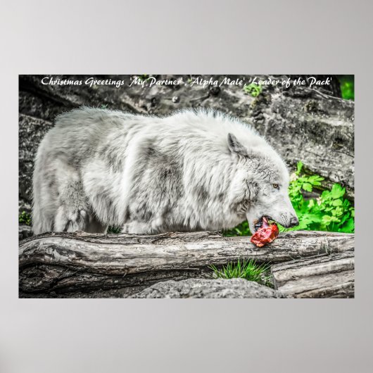 kerstcadeauleider van het pakket poster (Voorkant)