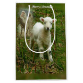 Kerstcadeaus Jezus Christus Medium Cadeauzakje (Voorkant)