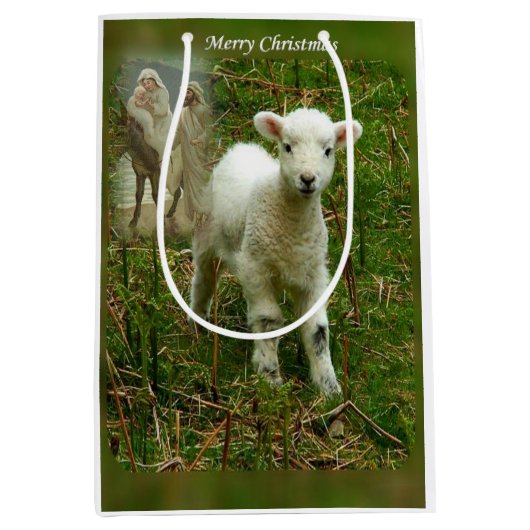 Kerstcadeaus Jezus Christus Medium Cadeauzakje (Voorkant)