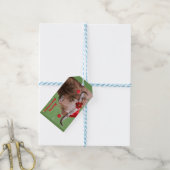 kerstcadeaus Labels Cadeaulabel (Met Touw)