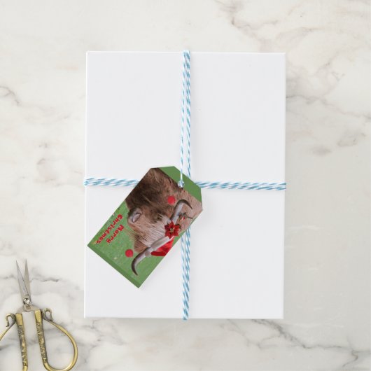 kerstcadeaus Labels Cadeaulabel (Met Touw)