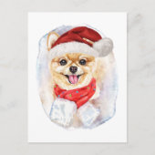 kerstcadeaus van pommeren voor honden feestdagenkaart (Voorkant)