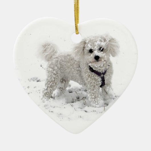 Kerstcadeaus voor meisjes leuk witte Bischon Frise Keramisch Ornament (Voorkant)