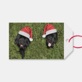 Kerstcadeautag met harige Notta-beer Cadeaulabel