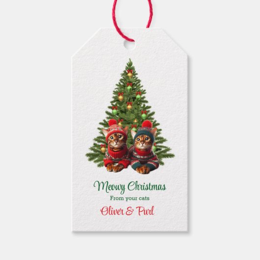 Kerstcadeautag Van Je Katten Cadeaulabel (Voorkant)