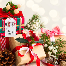 Kerstcadeautags van de Kerstman Cadeaulabel
