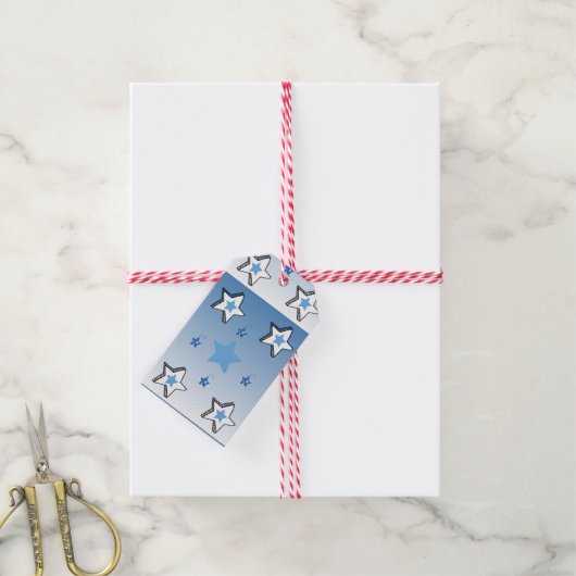 Kerstcadeautags White en Blue Stars Cadeaulabel (Met Touw)