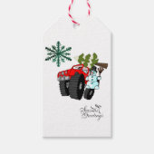 kerstcadeautassen Snowman Seasons Greetings Cadeaulabel (Voorkant)