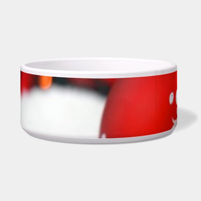kerstcadeautje Bowl Voerbakje (Voorkant)
