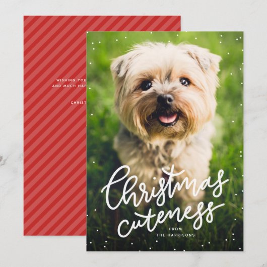 kerstcadeautje schattige feestkaartje feestdagenkaart (Voorkant / Achterkant)