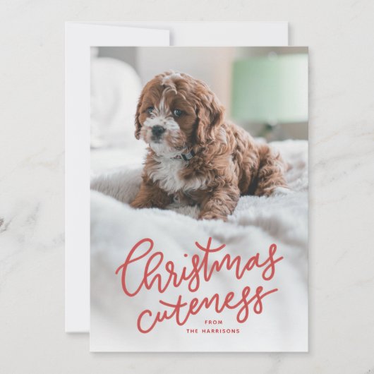 kerstcadeautje schattige feestkaartje feestdagenkaart (Voorkant)