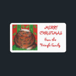 kerstcadeautje "van familie" label wit<br><div class="desc">Een gelukkige tortoiseshel kat (die op een kerstpudding lijkt!) zit op een groen kussen tegen een rode en groene, holle achtergrond. Gift label met een rood, groen, bruin en wit aanpasbaar ontwerp dat u kunt aanpassen aan uw eigen tekst, afbeeldingen en ideeën. De tekst kan gemakkelijk worden veranderd gebruikend de...</div>