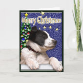 kerstcadeautjes, aangepast aan de binnenkant van d feestdagen kaart (Voorkant)