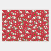 kerstcadeautjes voor fretten inpakpapier vel (Voorkant)