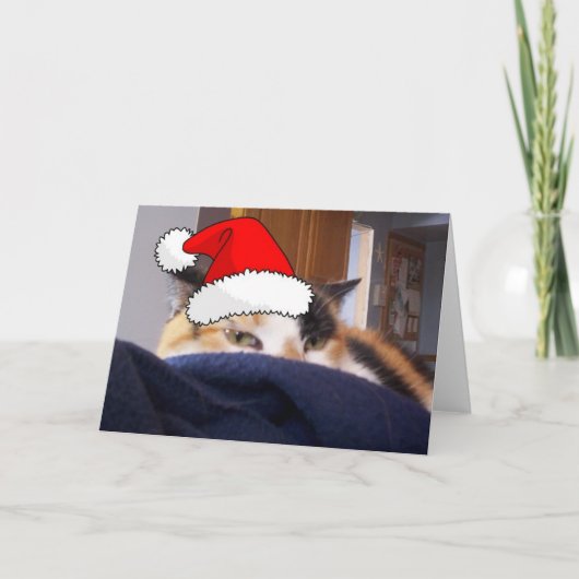 KerstCalico Cat Feestdagen Kaart (Voorkant)