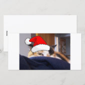 KerstCalico Cat Feestdagenkaart (Voorkant / Achterkant)