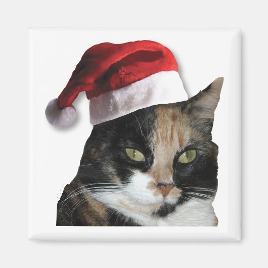 KerstCalico Cat Magneet (Voorkant)