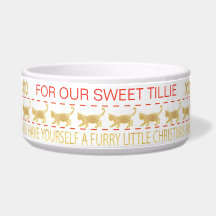 kerstCAT-fort Bowl "GOLD/UGLY SWEATER"