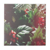 kerstcatctus tegeltje (Voorkant)