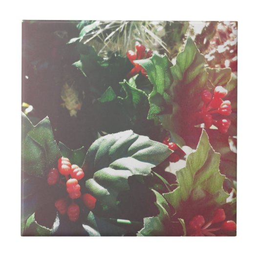 kerstcatctus tegeltje (Voorkant)