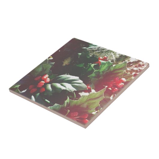 kerstcatctus tegeltje (Zijkant)