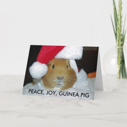 KERSTCAVIA KAART (Voorkant)