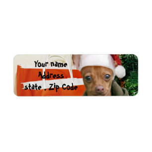 Kerstchihuahua-hond Etiket