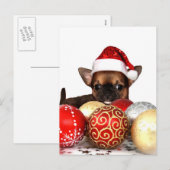 Kerstchihuahua puppy feestdagenkaart (Voorkant / Achterkant)