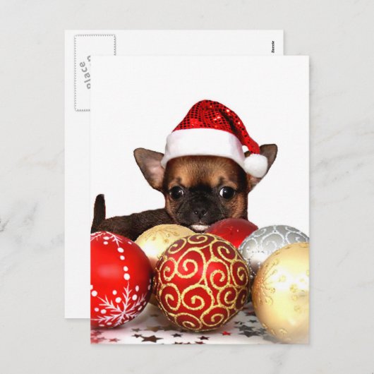 Kerstchihuahua puppy feestdagenkaart (Voorkant / Achterkant)