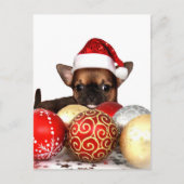 Kerstchihuahua puppy feestdagenkaart (Voorkant)