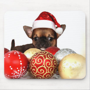 Kerstchihuahua puppy muismat