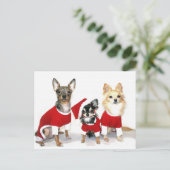 Kerstchihuahuas Feestdagenkaart (Staand voorkant)
