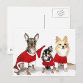 Kerstchihuahuas Feestdagenkaart (Voorkant / Achterkant)