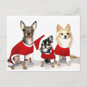 Kerstchihuahuas Feestdagenkaart