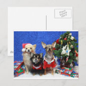 Kerstchihuahuas Feestdagenkaart (Voorkant / Achterkant)