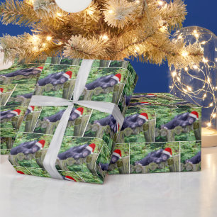 Kerstchimpansee met een kerstmuts cadeaupapier