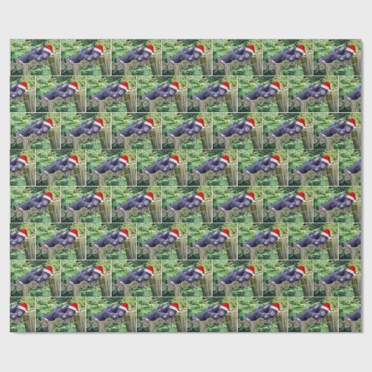 Kerstchimpansee met een kerstmuts cadeaupapier (Vlak)