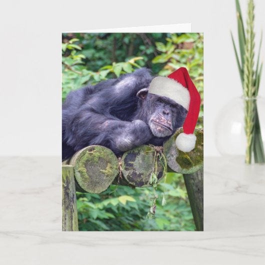 Kerstchimpansee met een kerstmuts kaart (Voorkant)