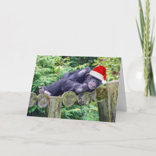 Kerstchimpansee met een kerstmuts kaart