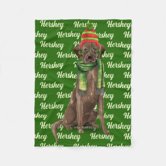 Kerstchocolade Lab met de naam Dog Fleece Deken (Voorkant)