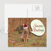 Kerstcoyote Feestdagenkaart (Voorkant / Achterkant)