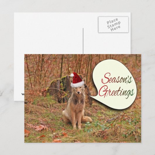 Kerstcoyote Feestdagenkaart (Voorkant / Achterkant)