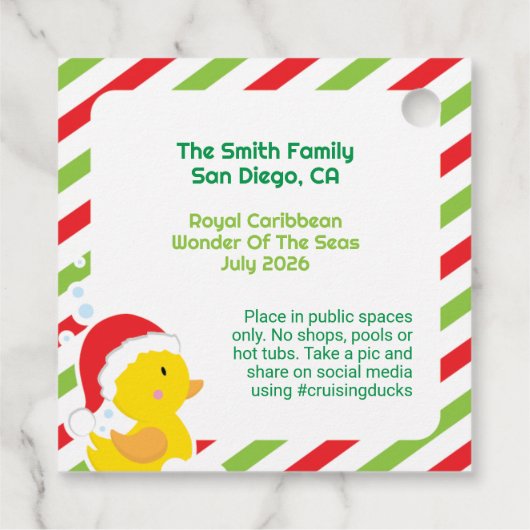 Kerstcruise Ducks Square Labels, Groen Bedankjes Labels (Achterkant)