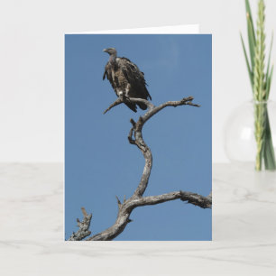 Kerstcultuur Feestdagen Kaart