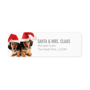 Kerstdachshund-Puppies met kerstmanden Etiket