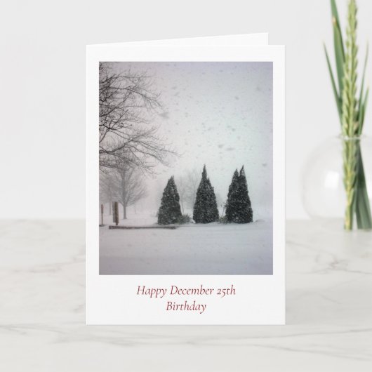 Kerstdag 6 - Gentle Snow Feestdagen Kaart (Voorkant)