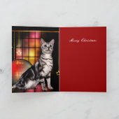 Kerstdag Xmas Kat Feestdagen Kaart (Binnen)
