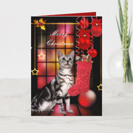 Kerstdag Xmas Kat Feestdagen Kaart