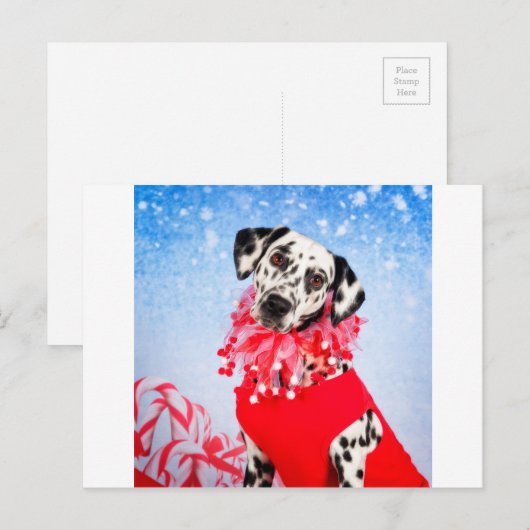 Kerstdalmatiër Feestdagenkaart (Voorkant / Achterkant)